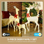 Lighted family reindeer – outdoor farmhouse Christmas decoration, sturdy metal construction with energy-efficient LEDs